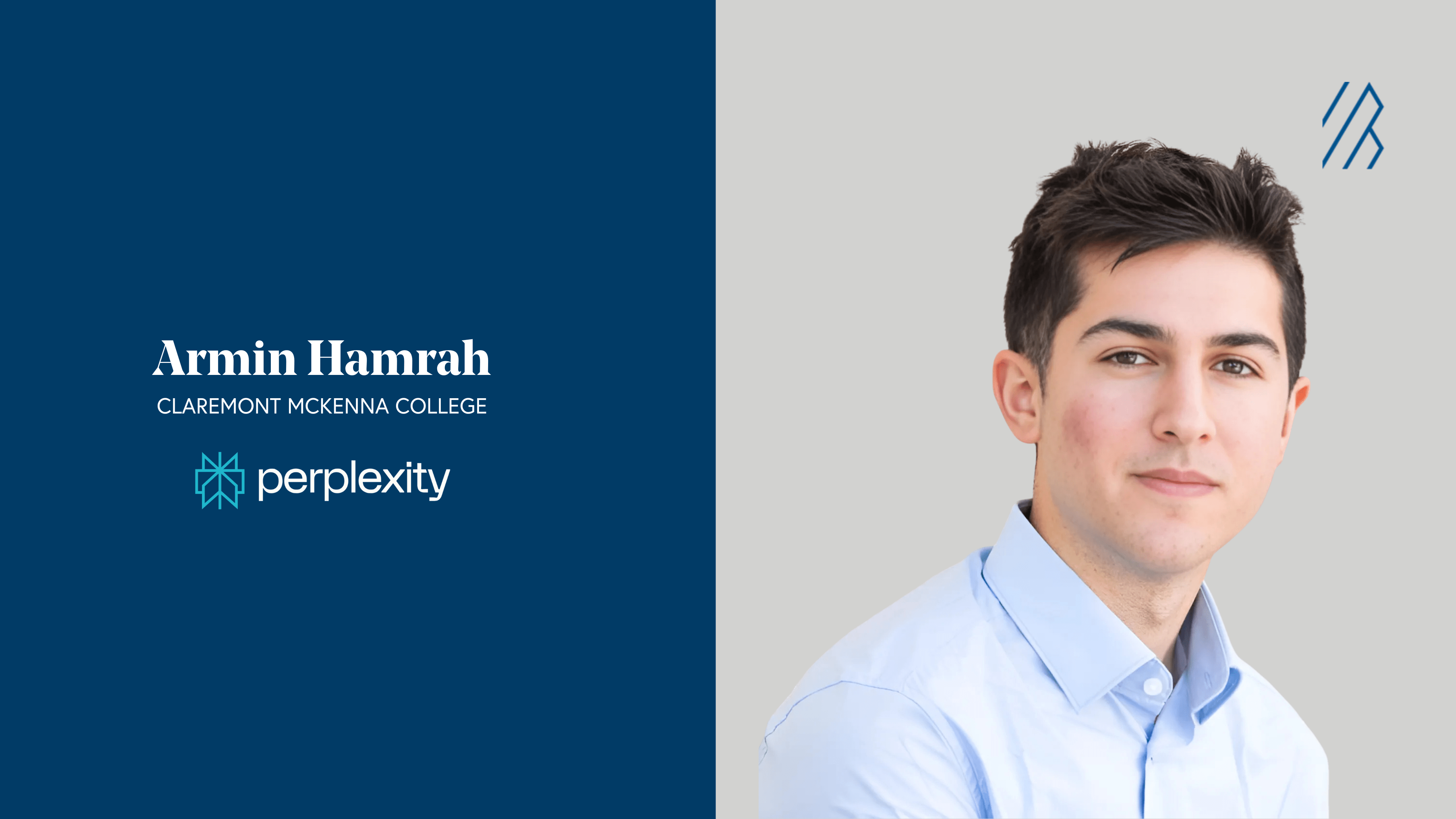 Armin Hamrah Bessemer fellow graphic